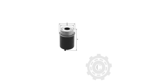 [CP003709] FILTRU FS19813