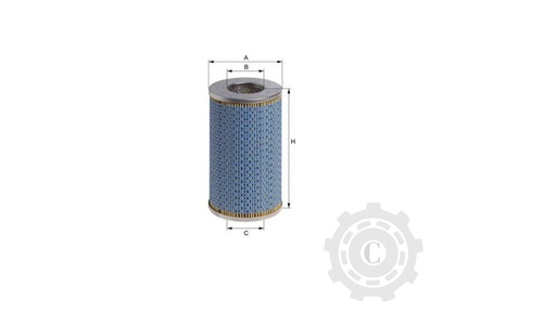 [CP003382] FILTRU FF194
