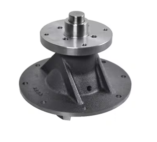 [CP011961] POMPA APA JD