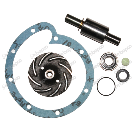 [CP026691] KIT REPARATIE POMPA APA 25/131-27