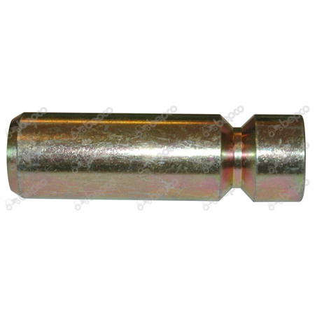 [CP011277] BOLT JD