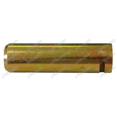 [CP011276] BOLT JD