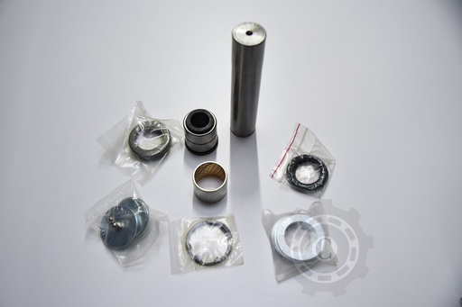 [CP031319] SET REPARATIE PIVOT
