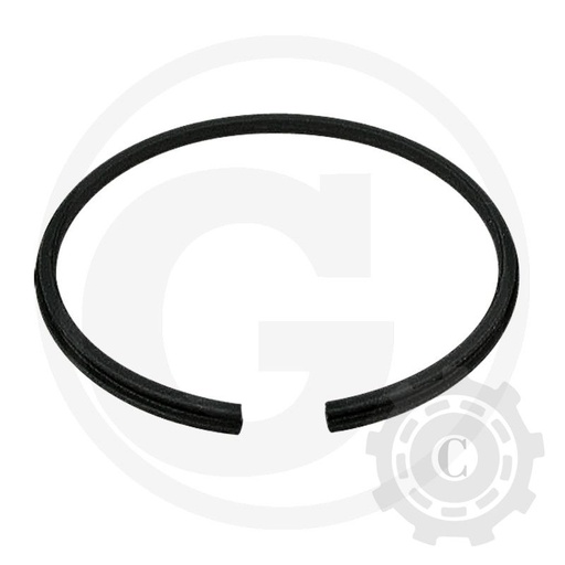 [CP012762] SEGMENT CASE
