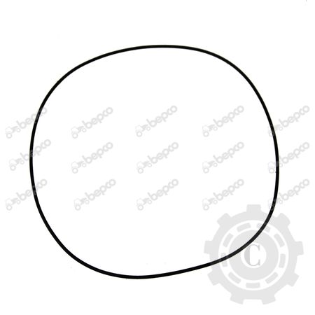 [CP009653] INEL ETANSARE
