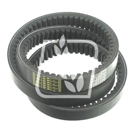 [CP004280] CUREA 01145332 28X1610 LA GATES