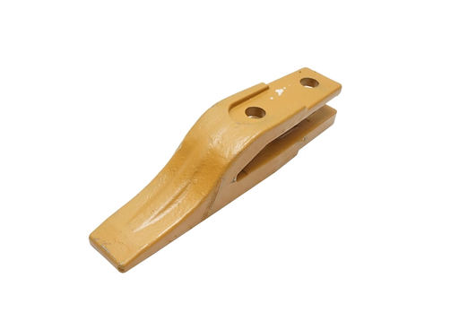 [CP007305] DINTE  312204054