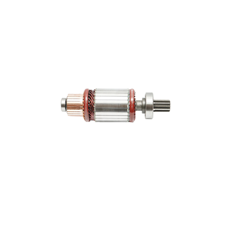 [CP004389] ROTOR ELECTROMOTOR U445
