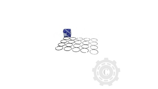 [CP031326] SET SEGMENTI U683 DROUZBA