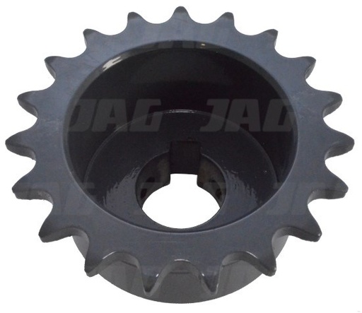 [CP012456] PINION 629982