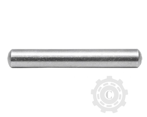 [CP031737] STIFT IMPINGATOR 4016114