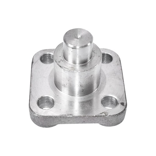 [CP008664] PIVOT 4255512 U445