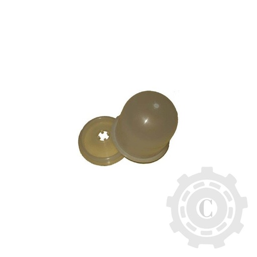 [CP021298] VAS 624862