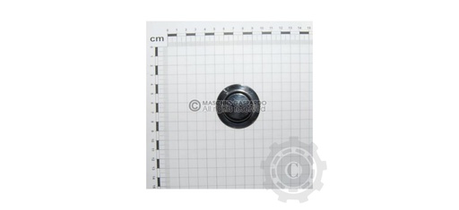 [CP021684] BUCSA G66248248R