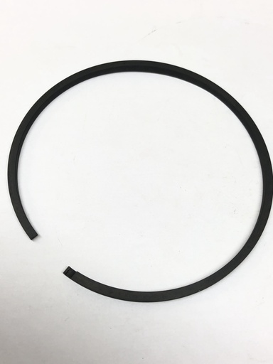 [CP026532] INEL R39280