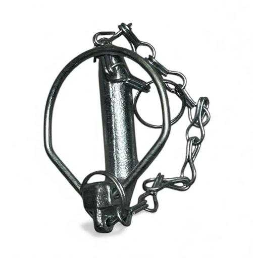 [CP031633] SPLINT ARC FI 14