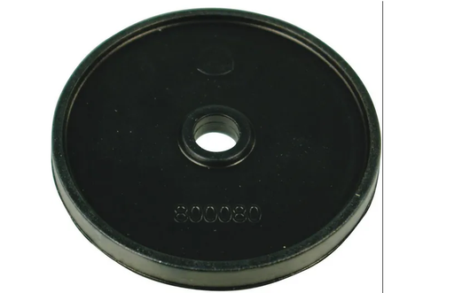 [CP006630] MEMBRANA 800080A