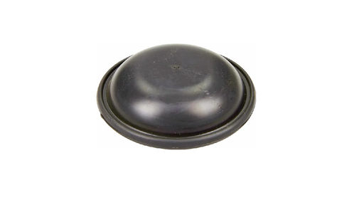 [CP027373] MEMBRANA CLOPOT ANNOVI REVERBERI