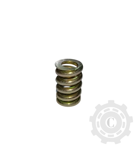 [CP016315] ARC 020124