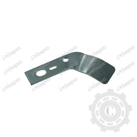 [CP016655] PLACA