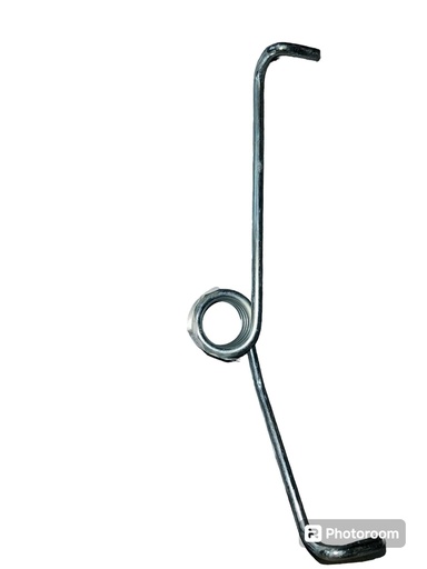 [CP020657] ARC TORSIUNE SUP FI6.5