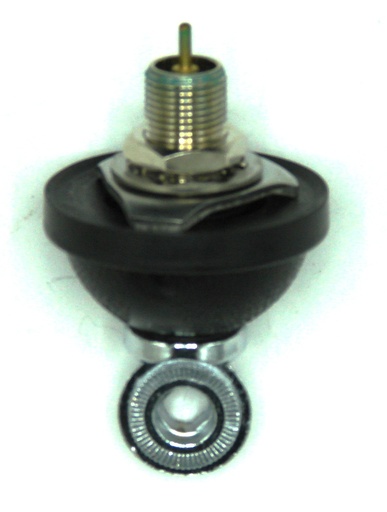 [CP007834] ADAPTOR AVANTI DV