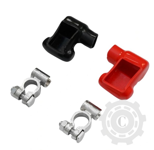 [CP009674] SET BORNE