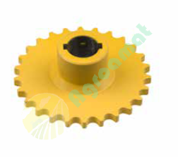[CP028156] PINION 84981212