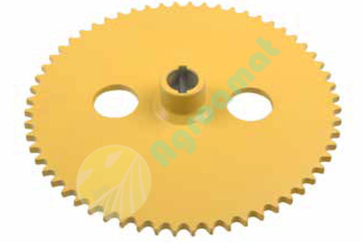 [CP028169] PINION 80420347