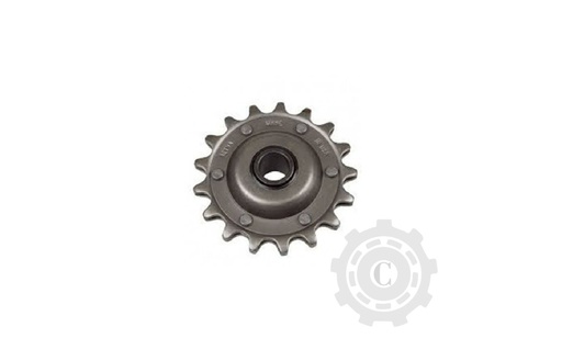 [CP028145] PINION Z17