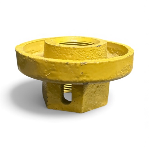 [CP028339] PIULITA NH309135