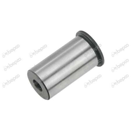 [CP012102] BOLT 637991.0