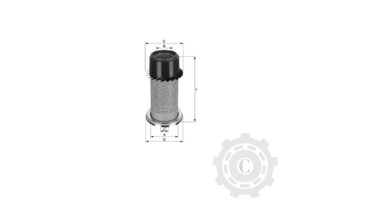 [CP025572] FILTRU SA17469