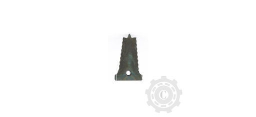 [CP024394] DINTE LAMELA 58002355