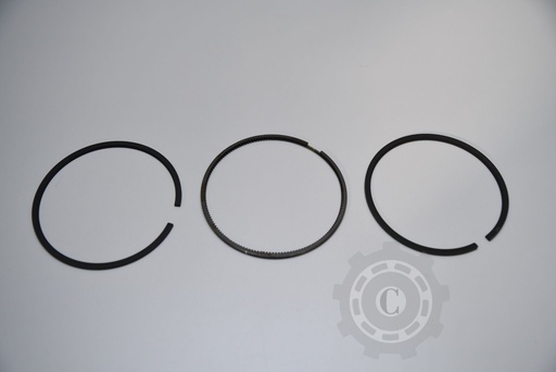 [CP012974] SEGMENTI VPB4015