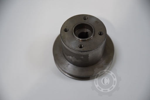 [CP012957] FULIE V31146952