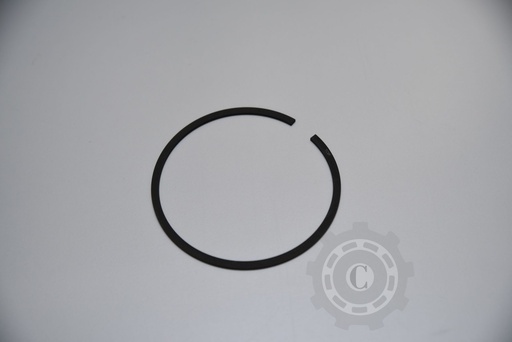 [CP012972] SEGMENTI 17810501-00