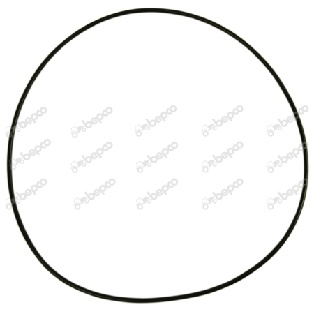 [CP026479] INEL 48/486-101