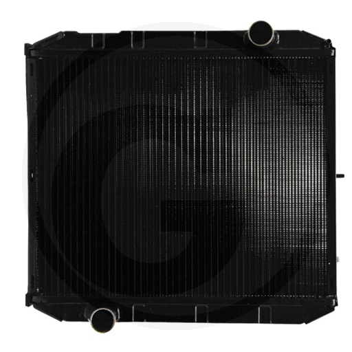 [CP029301] RADIATOR apa cnh