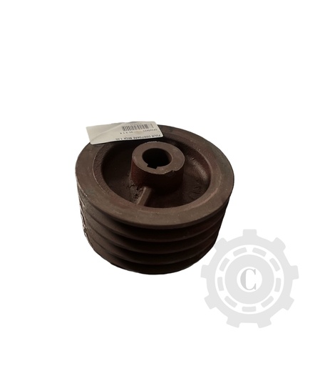 [CP025623] FULIE COSITOARE MICA 1.65