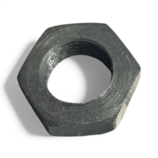 [CP028413] PIULITA SK STANGA