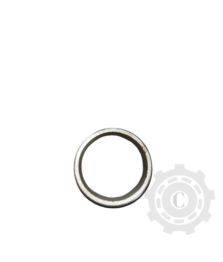 [CP021728] BUCSA SUP 21-7.1.8