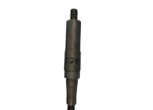 [CP020784] AX ROATA SUP 36 - 15.1