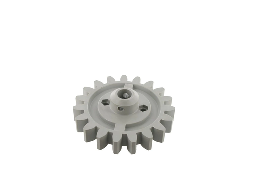 [CP028241] PINION KVENERLAND AC489056