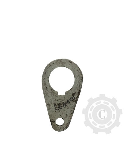 [CP027983] PARGHIE PP4 1.10