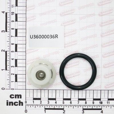 [CP001693] U36000036R GR VALVA ASPIRATIE BP280 2008