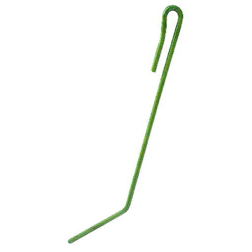 [CP002364] ORGAN ACTIV AMAZONE