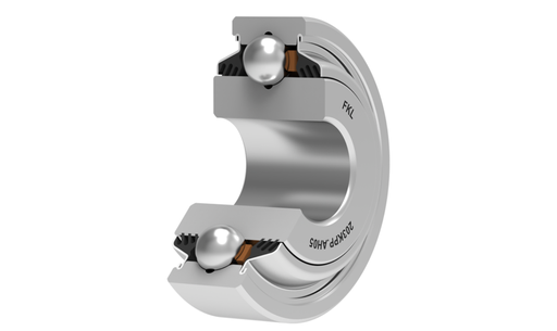 [CP006667] Rulment FKL Q203PP.AH05