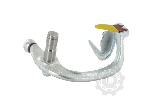 [CP015942] Degajor RS6020