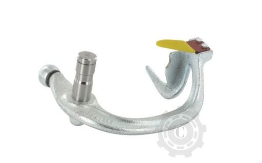 [CP015942] Degajor RS6020